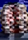מרטין לנד
