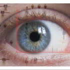 יום עיון - מבטים על ראיה