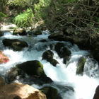 סמינר בנושא "שיקום נחלי ישראל"