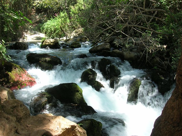 Israel Banias Waterfalls 001