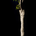 תערוכת צילום חדשה "למראית עין" של ענת עופרי