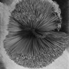 תערוכה חדשה בסדרת "מאחורי הקלעים" של החוג לתקשורת צילומית (1)