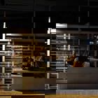 תערוכת "מהדורה מיוחדת" של החוג לתקשורת צילומית