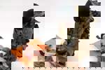 CORE | אמיר כדורי