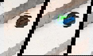 PASS | דניאלה פלסקוב