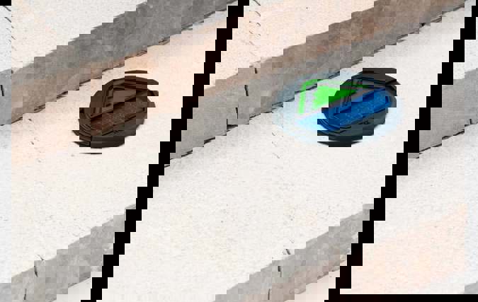 PASS | דניאלה פלסקוב