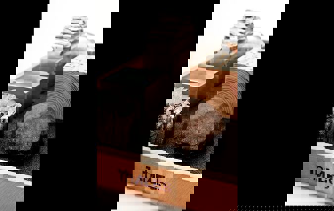 Thales | יעל הרשקוביץ