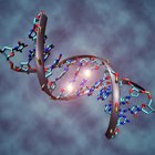 סמינר: "אפיגנטיקה של מחלות נפוצות והשפעות סביבתיות"