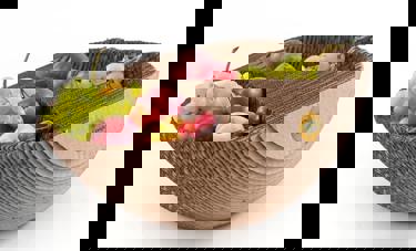 Google 80.92% | צפנת כהן