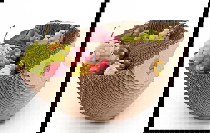 Google 80.92% | צפנת כהן