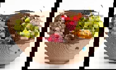 Google 80.92% | צפנת כהן