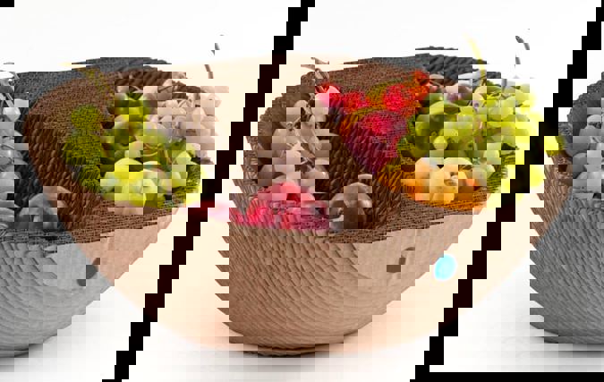 Google 80.92% | צפנת כהן