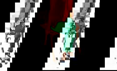 Google 80.92% | צפנת כהן