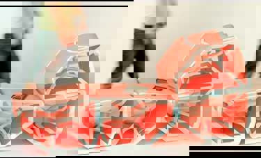 סגמנט SEGMENT | נועם פס