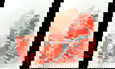 סגמנט SEGMENT | נועם פס