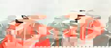 סגמנט SEGMENT | נועם פס