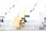 Baboo | שחף בן־אבו