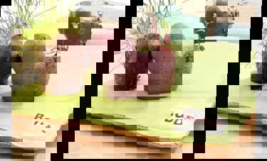 BUDS | אשל ניצן