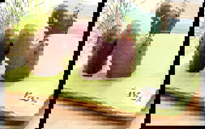 BUDS | אשל ניצן