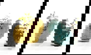 BUDS | אשל ניצן