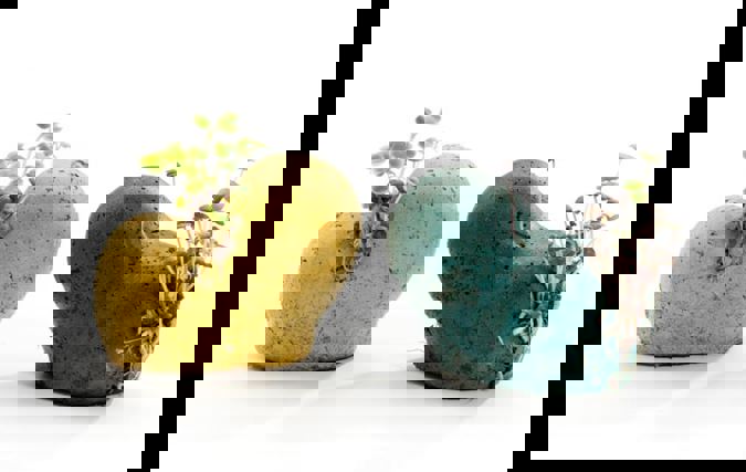 BUDS | אשל ניצן