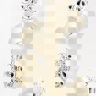 OSSIS