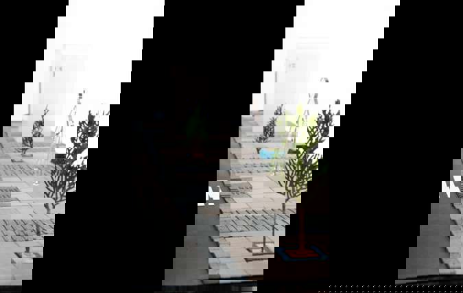 שפת רחוב | חן ברינדט