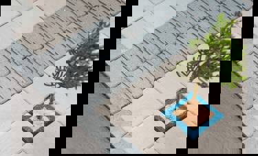 שפת רחוב | חן ברינדט