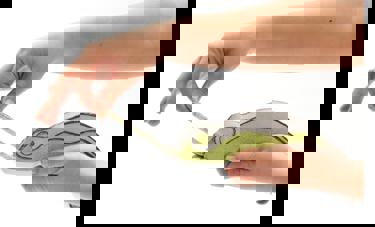 ANIMO | יונתן כהן