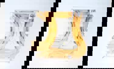 Starchy | שירה פלדי