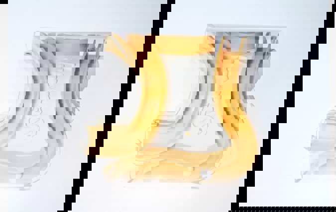 Starchy | שירה פלדי