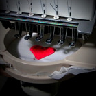 תערוכת צילום: "המסע האחרון לקיתרה", איה בן רון