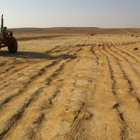 החקלאות בישראל בין טבע ותרבות, בין גלובלי ללוקאלי: מקולקטיב לרשת חברתית