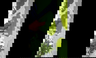 Breather | איבצן הרו