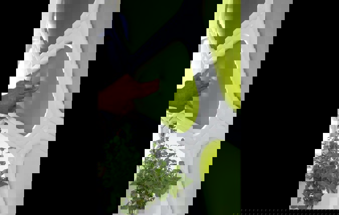 Breather | איבצן הרו