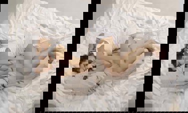 Morpheus | אירה רזניק