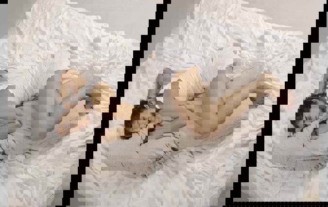 Morpheus | אירה רזניק