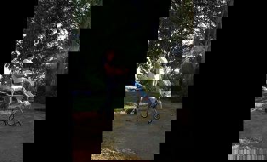 S3 safety seat and stroller | אריאל בן לולו