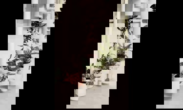 הטבע בחדרי מטופלים Nature in Patients Rooms | מגדה רוק