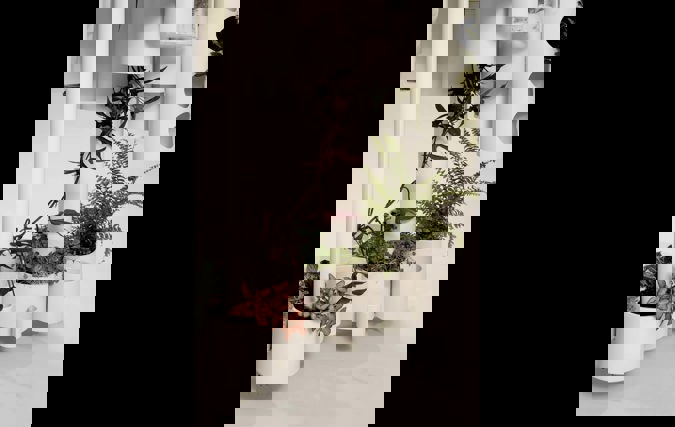 הטבע בחדרי מטופלים Nature in Patients Rooms | מגדה רוק