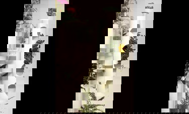 הטבע בחדרי מטופלים Nature in Patients Rooms | מגדה רוק