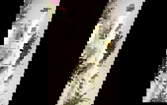 הטבע בחדרי מטופלים Nature in Patients Rooms | מגדה רוק