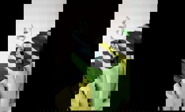 Memo | נועה ביאלה בן מנשה