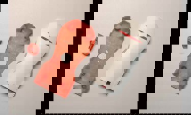 MIMS – Multi ID, Memory, Security | עמית ארטמן