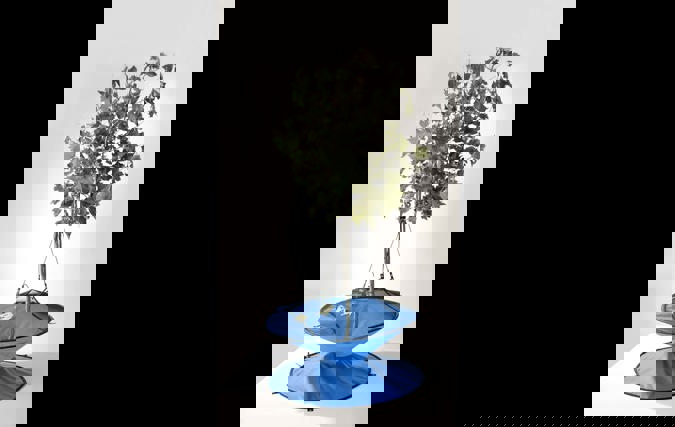 Mey-Tal | שגיא הרשלר