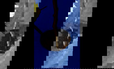 Mey-Tal | שגיא הרשלר