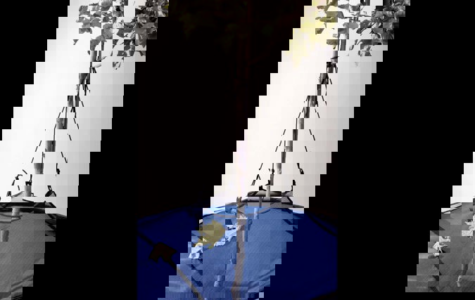 Mey-Tal | שגיא הרשלר