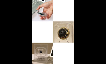 Hollow / חלולים | אליה אשכנזי