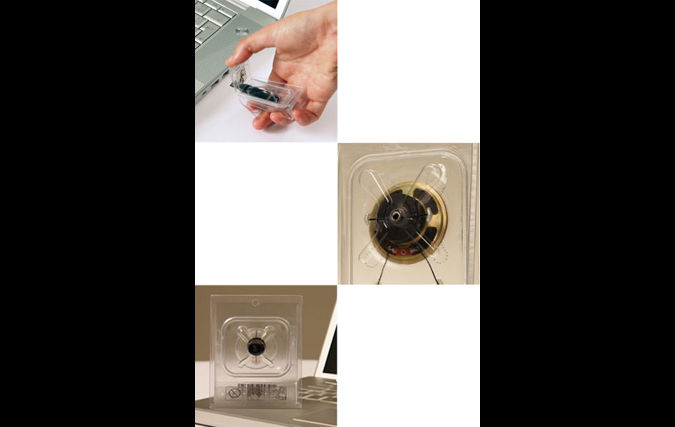 Hollow / חלולים | אליה אשכנזי