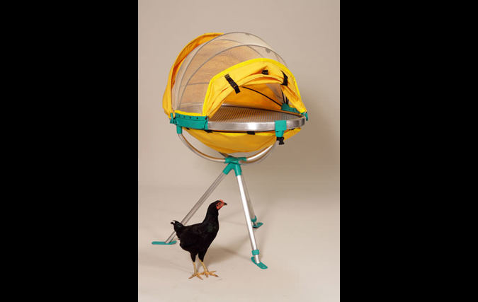 Jaja | עדי לבנה